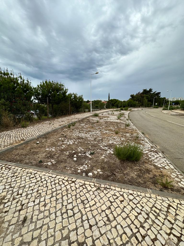 morgadinho (4)